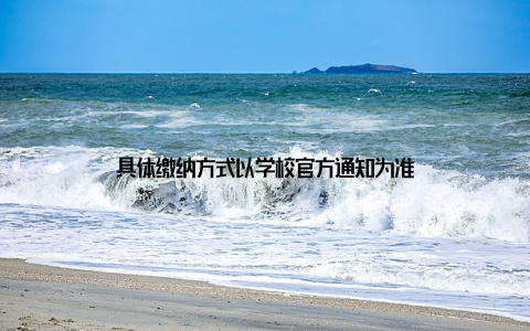 具体缴纳方式以学校官方通知为准