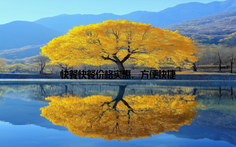 快餐快餐价格实惠, 方便快捷