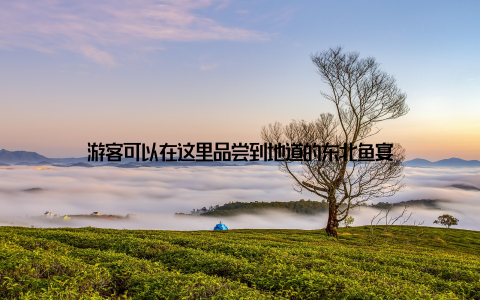 游客可以在这里品尝到地道的东北鱼宴