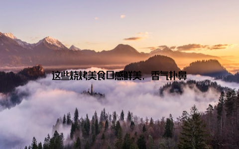 这些烧烤美食口感鲜美, 香气扑鼻