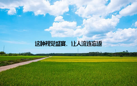 这种视觉盛宴, 让人流连忘返