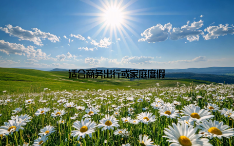 适合商务出行或家庭度假