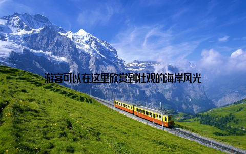 游客可以在这里欣赏到壮观的海岸风光