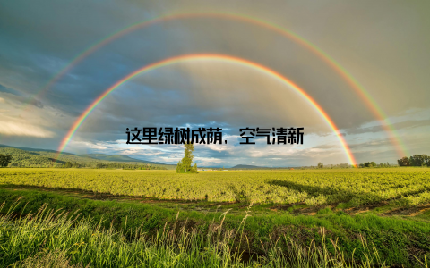 这里绿树成荫, 空气清新